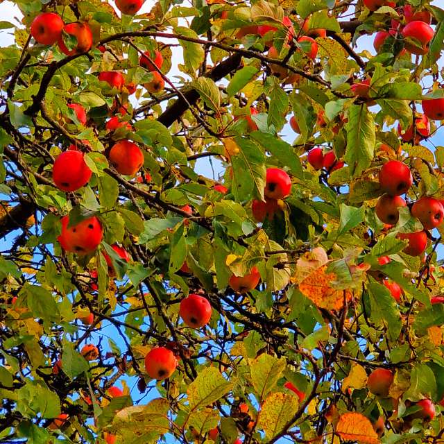 Fotos Muitos. Previsões do tempo com lindas fotos de Seni em Velbert