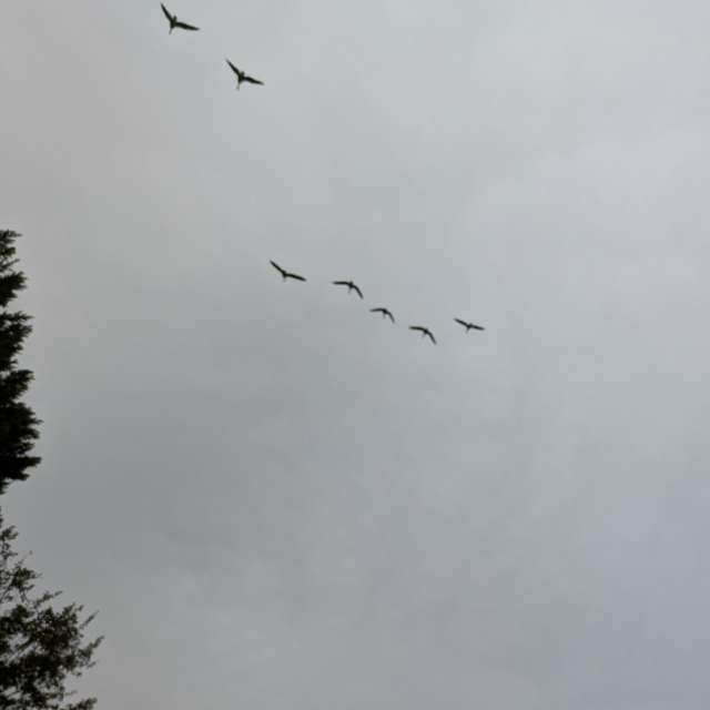 Weather forecasts with beautiful photos by jeannecozzarin