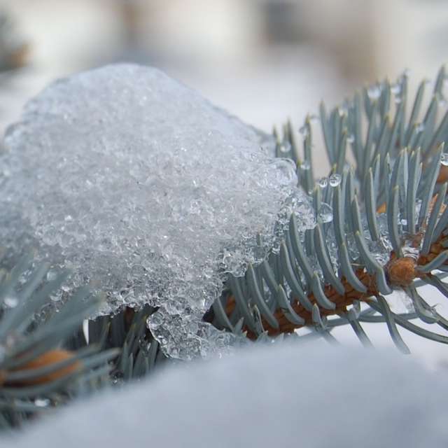 Weather Photos in World. Weather forecasts with beautiful photos by 1stEyeFocused