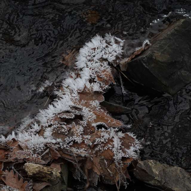 Fotos Vento. Previsões do tempo com lindas fotos de Vasek325 em Praha 4