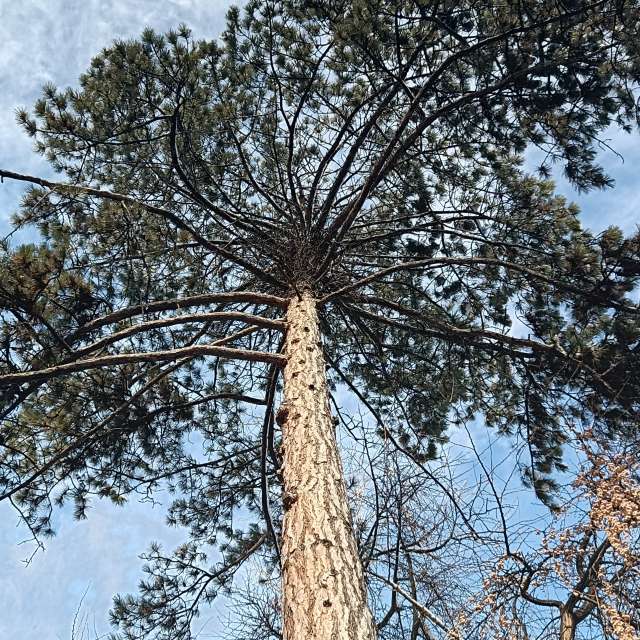 Fotos del Lado. Pronósticos del tiempo con hermosas fotos de YanBog en București
