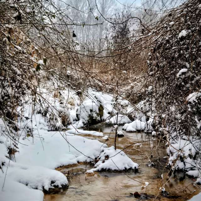 Pronósticos del tiempo con hermosas fotos de Birdy25