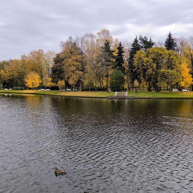 Jeaの美しい写真による天気予報