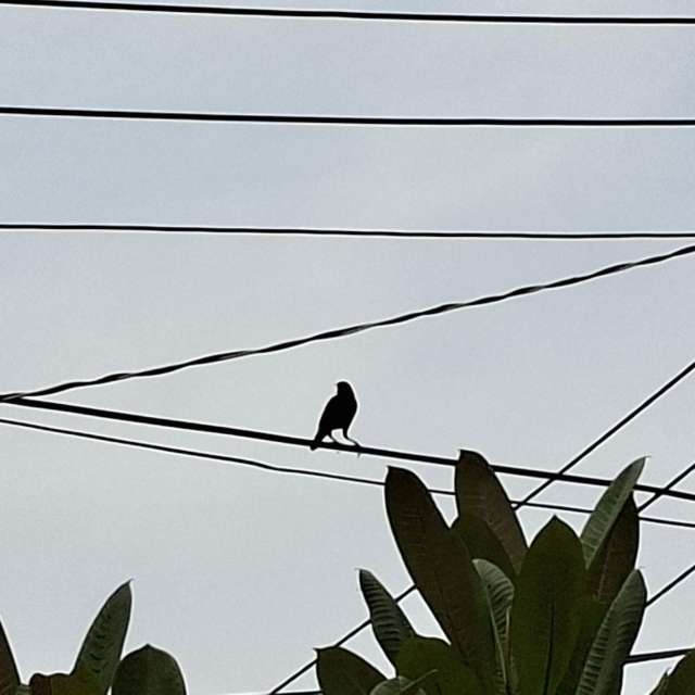 Traffic. Weather forecasts with beautiful photos by Wen-ya Huang Photos in Kaohsiung City