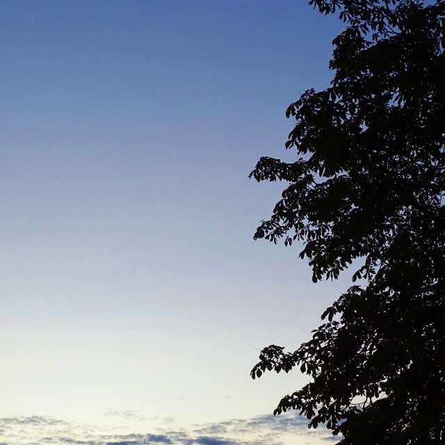 Overlooking. Weather forecasts with beautiful photos by Михаил Гавриков Photos in Kharkiv