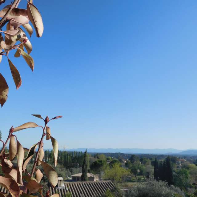 Pronósticos del tiempo con hermosas fotos de cool