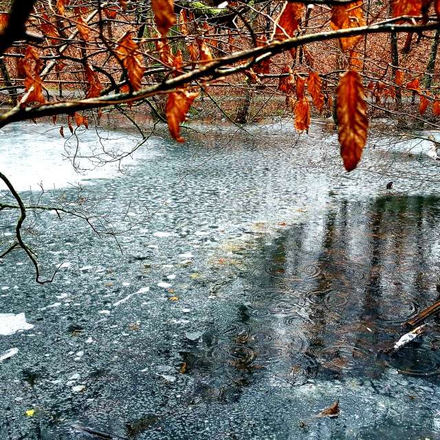 Прогнозы погоды с чудесными фотографиями, сделанными schimi