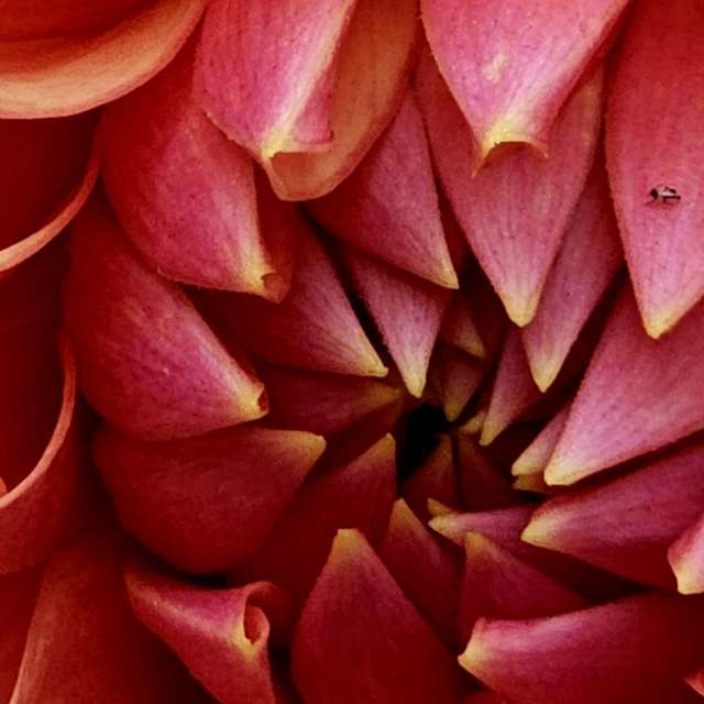 Wettervorhersagen mit schönen Fotos von Greenbroker