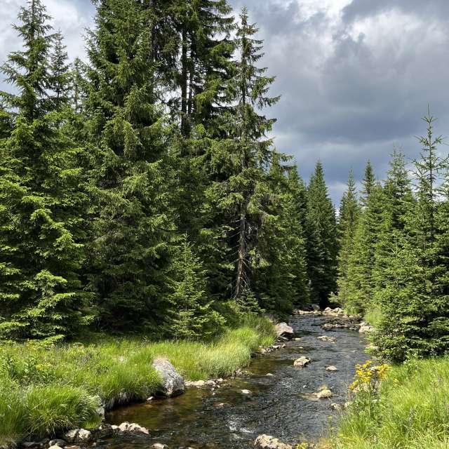 Jan95の美しい写真による天気予報