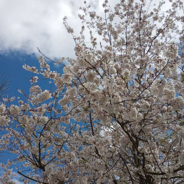 Photos Homme. Prévisions météo avec de superbes photos de jeannecozzarin de North Carolina