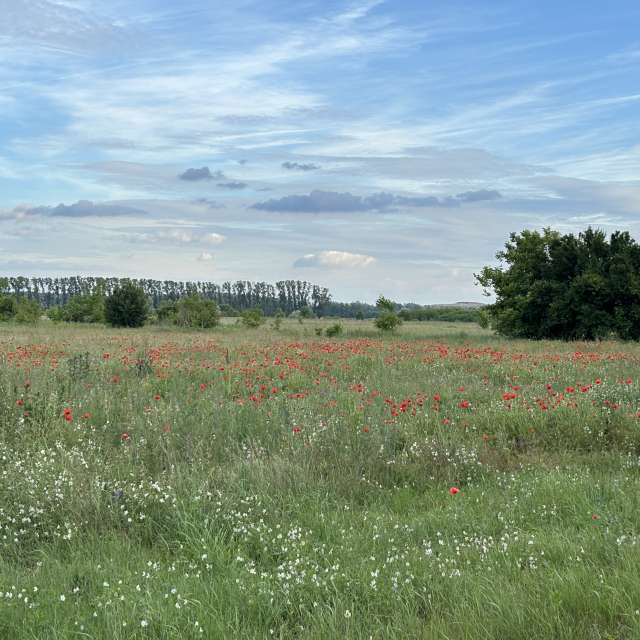 Previsões do tempo com lindas fotos de kriotis