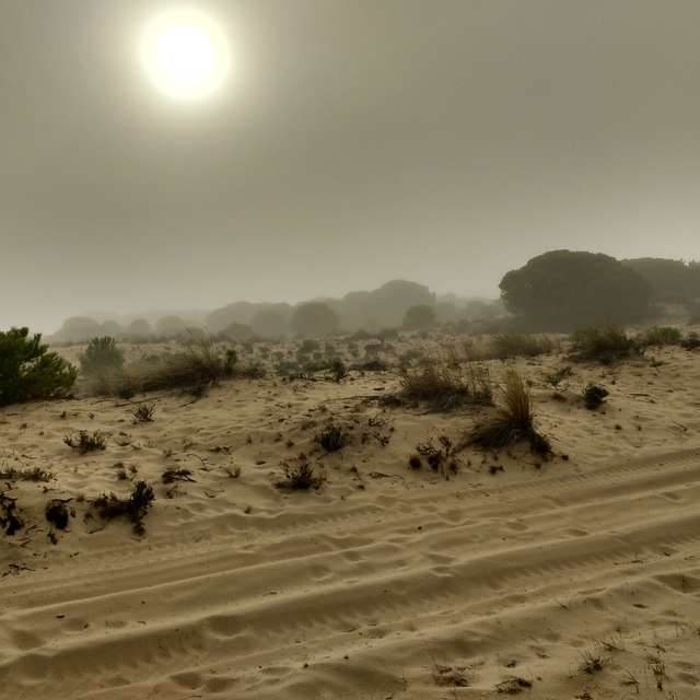 Weather forecasts with beautiful photos by Leones