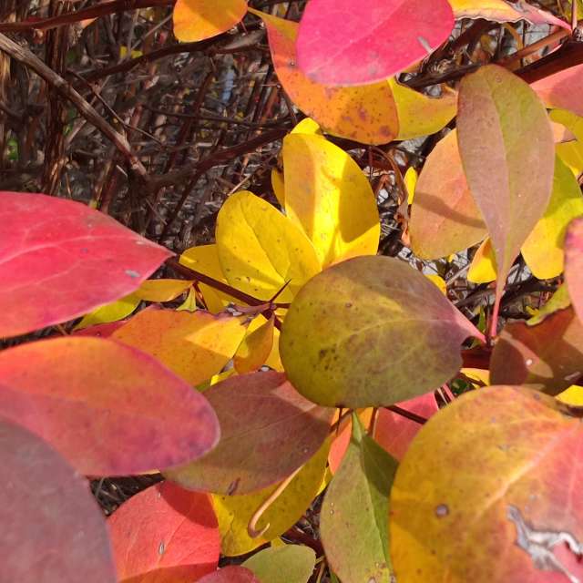 Prévisions météo avec de superbes photos de UnKKas