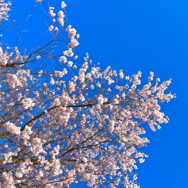 Прогнозы погоды с чудесными фотографиями, сделанными Kasumisou