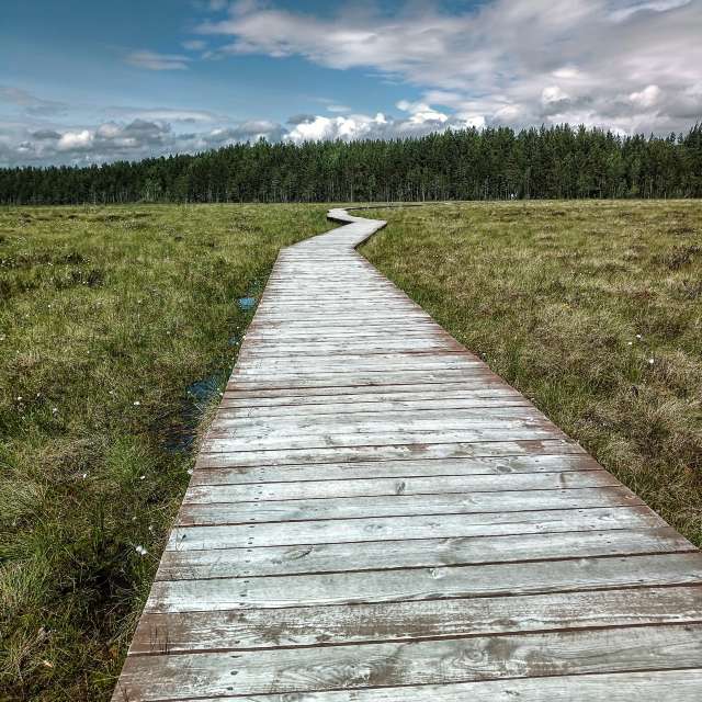 Pronósticos del tiempo con hermosas fotos de fruta