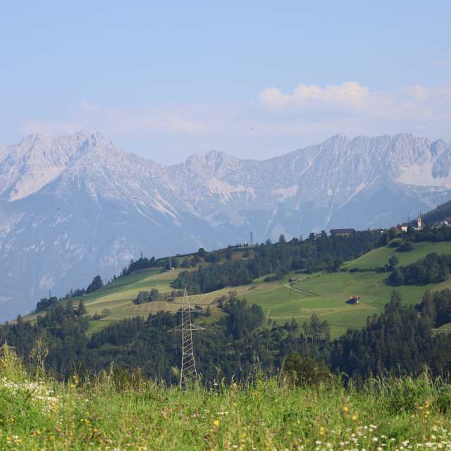 Grass. Weather forecasts with beautiful photos by Frank-Michael Preuss Photos in Innsbruck