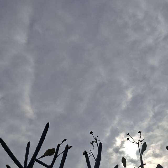 Lot. Weather forecasts with beautiful photos by Wen-ya Huang Photos in Kaohsiung City