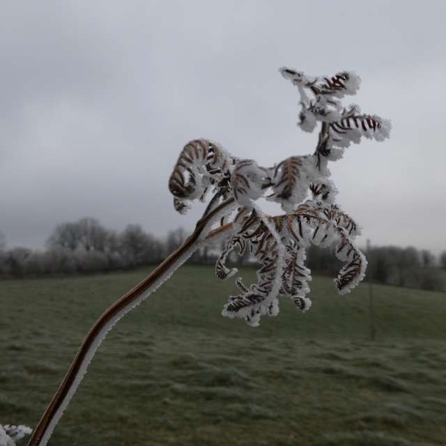 Прогнозы погоды с чудесными фотографиями, сделанными Fredy_Hiker