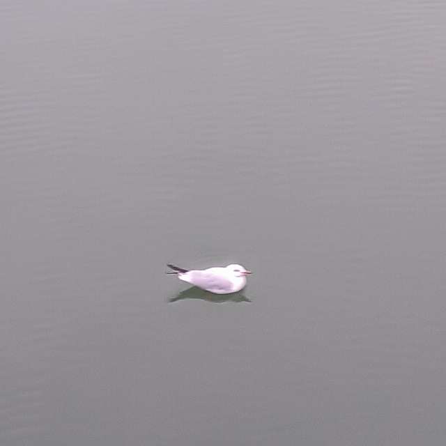 Previsões do tempo com lindas fotos de YanBog