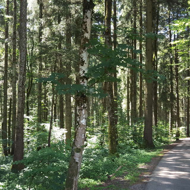 Weather. Wettervorhersagen mit schönen Fotos von Madeiragirl Fotos Bayern