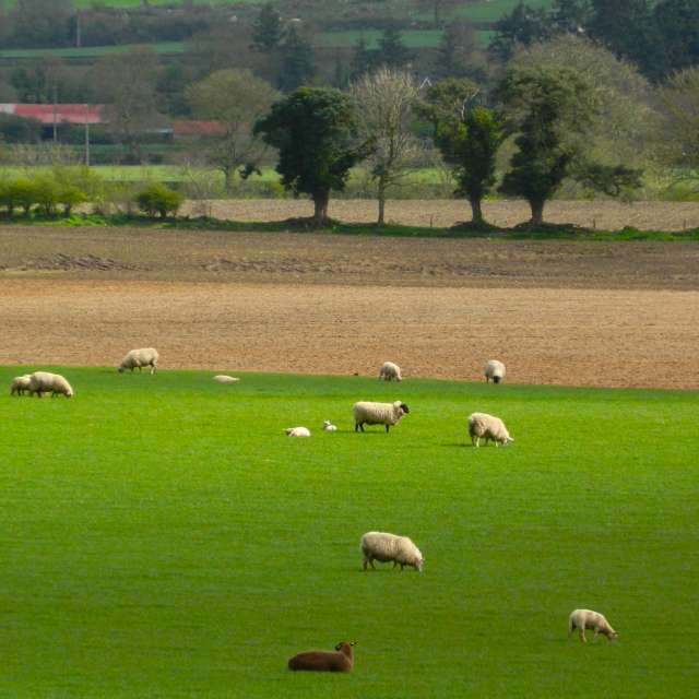 Previsões do tempo com lindas fotos de DarekCho