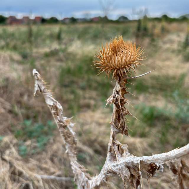 Previsões do tempo com lindas fotos de kriotis