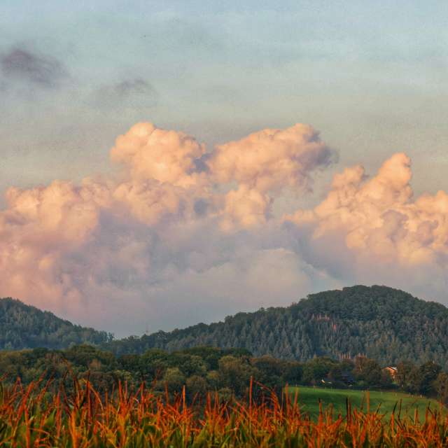 Cloudy. Weather forecasts with beautiful photos by Lotti5507 Photos in Stockum