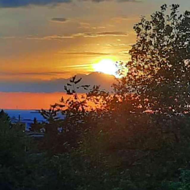 Flock. Weather forecasts with beautiful photos by Seni Photos in Velbert