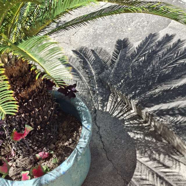 Fotos Comida. Previsões do tempo com lindas fotos de Wen-ya Huang em Kaohsiung City