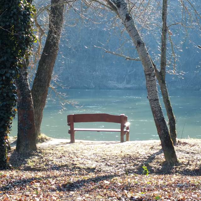 Photos Forêt. Prévisions météo avec de superbes photos de Miloš_SK de Sereď