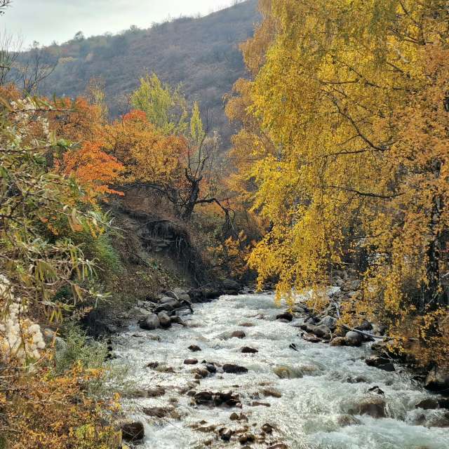 Fotos Colina. Previsões do tempo com lindas fotos de Chizh em Almaty