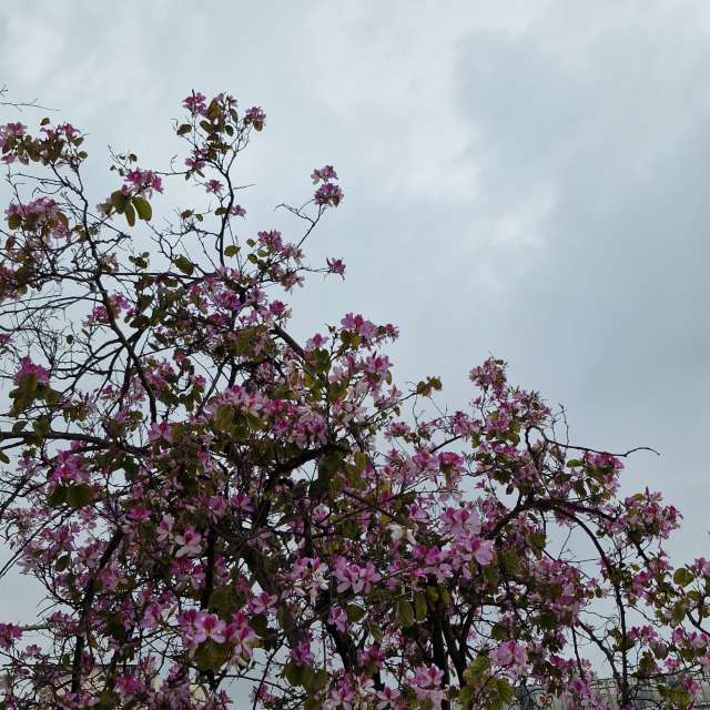 Dự báo thời tiết với những bức ảnh đẹp của batuhantelim