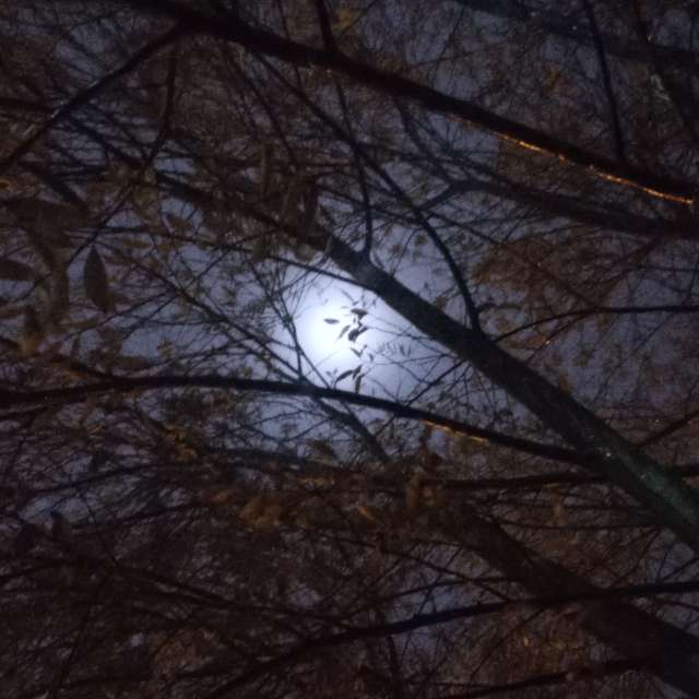 Prévisions météo avec de superbes photos de _Nubes