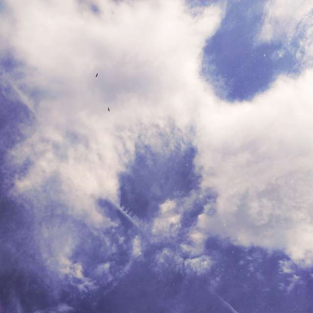 Large. Weather forecasts with beautiful photos by aastrelkova Photos in Moscow