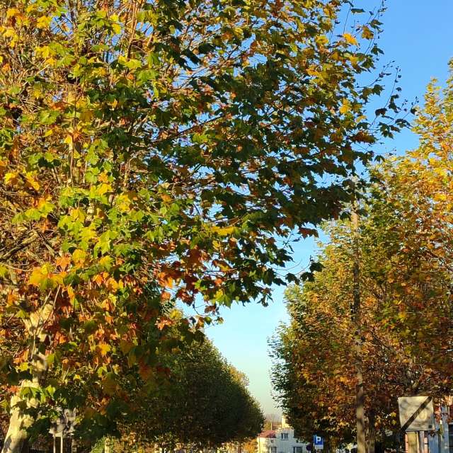 Weather forecasts with beautiful photos by Romek58