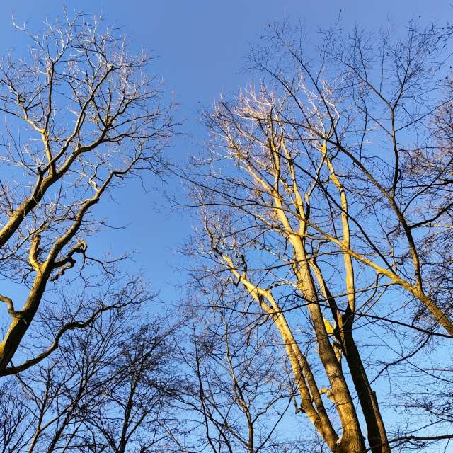 天气预报，带Gaucho精美的照片