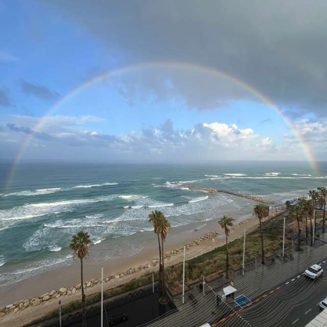 Fotos Grupo. Previsões do tempo com lindas fotos de Zaza em Bat Yam