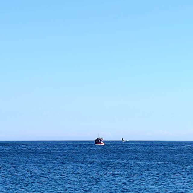 秋. Weather forecasts with beautiful photos by umemui Photos in World