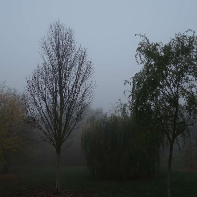 Fotos Grama. Previsões do tempo com lindas fotos de Vasek325 em Praha 4