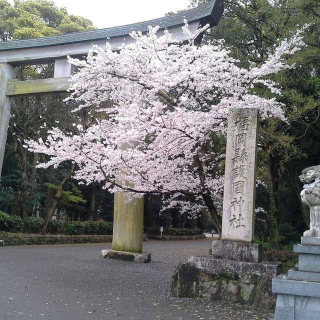 Isabelle Nambuの美しい写真による天気予報