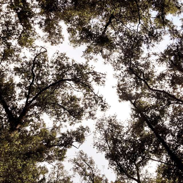 Weather forecasts with beautiful photos by 1stEyeFocused