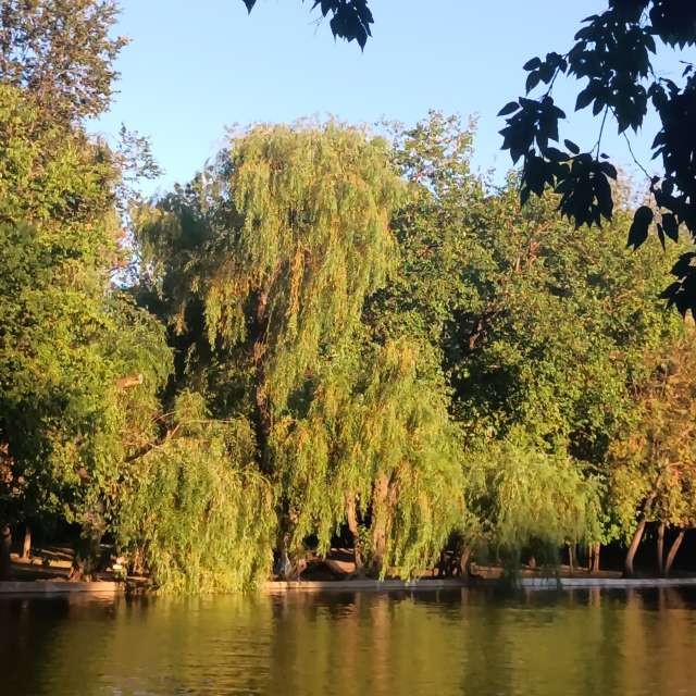 Fotos del Cuerpo. Pronósticos del tiempo con hermosas fotos de YanBog en București