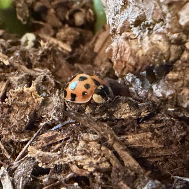 Prévisions météo avec de superbes photos de SwissEloi
