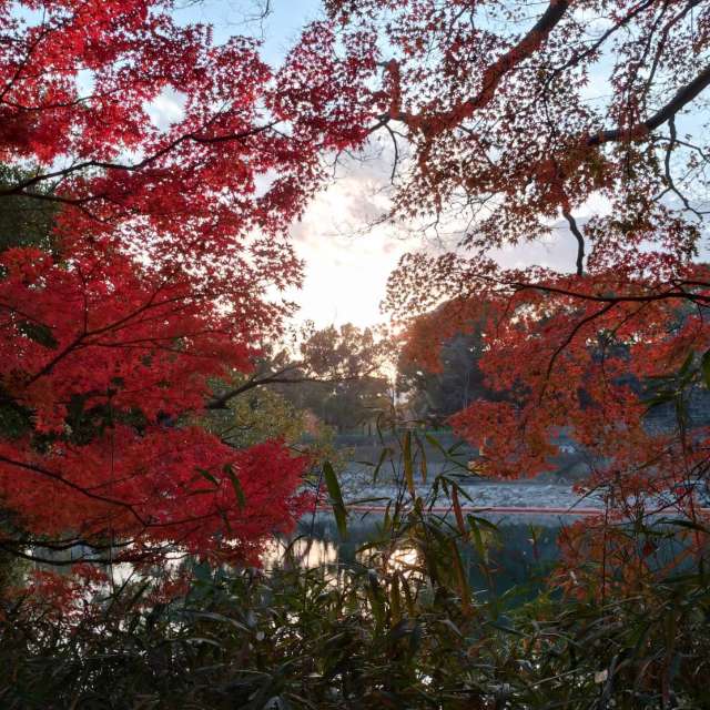 Field. Weather forecasts with beautiful photos by あさのジジ Photos in World