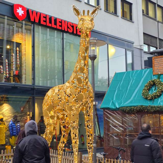 Seniの美しい写真による天気予報