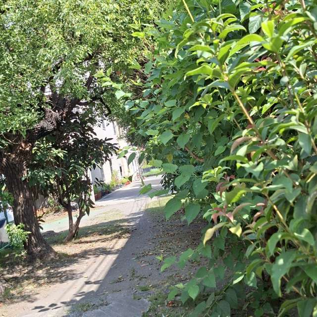 Path. Weather forecasts with beautiful photos by Wen-ya Huang Photos in Kaohsiung City