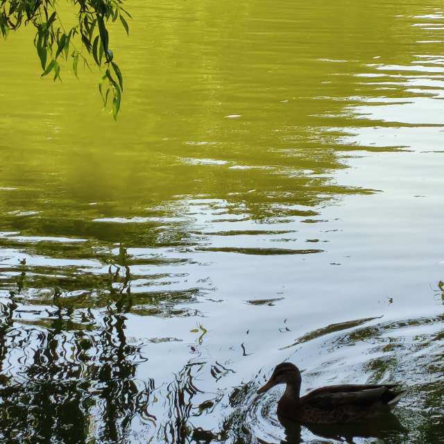 Prévisions météo avec de superbes photos de YanBog