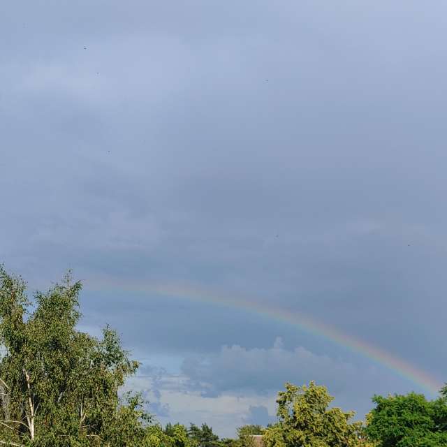 Jazzinevirgaの美しい写真による天気予報