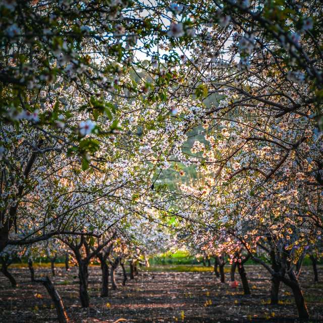 Prévisions météo avec de superbes photos de Tamir_photographer