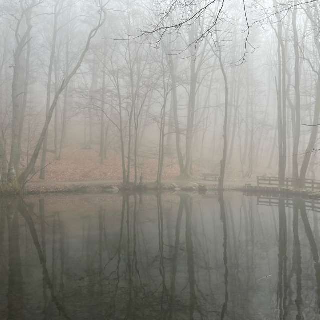Photos Jour. Prévisions météo avec de superbes photos de Seni de Velbert